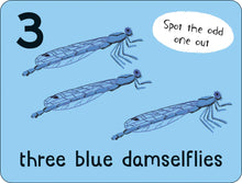 Load image into Gallery viewer, Lots to Spot Flashcards: Bugs!