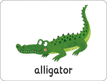 Load image into Gallery viewer, Lots to Spot Flashcards: Under the Sea!