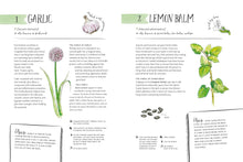 Load image into Gallery viewer, The Magic of Seeds