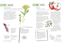Load image into Gallery viewer, The Magic of Seeds