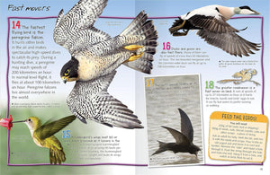 100 Facts Birds