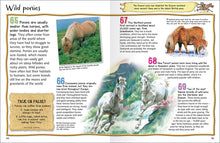 Load image into Gallery viewer, 100 Facts Horses &amp; Ponies