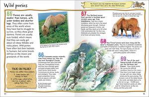 100 Facts Horses & Ponies