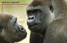 Load image into Gallery viewer, 100 Facts Mammals