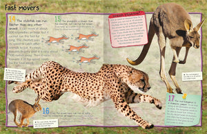 100 Facts Mammals