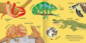 Big Words for Little Experts: Animals