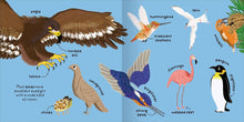 Load image into Gallery viewer, Big Words for Little Experts: Animals