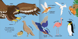 Big Words for Little Experts: Animals
