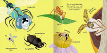 Load image into Gallery viewer, Big Words for Little Experts: Animals
