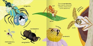 Big Words for Little Experts: Animals