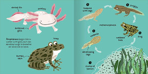 Big Words for Little Experts: Animals