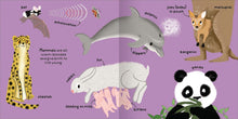 Load image into Gallery viewer, Big Words for Little Experts: Animals