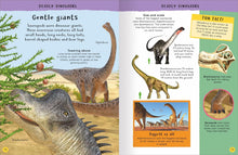 Load image into Gallery viewer, Encyclopedia of Amazing Facts