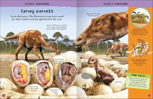 Load image into Gallery viewer, Encyclopedia of Amazing Facts