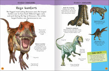 Load image into Gallery viewer, Encyclopedia of Amazing Facts