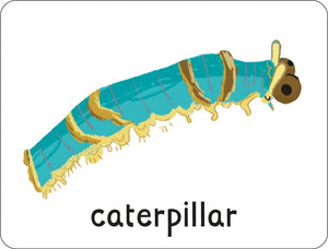Lots to Spot Flashcards: Bugs!