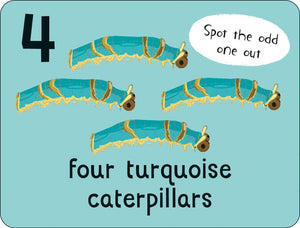 Lots to Spot Flashcards: Bugs!