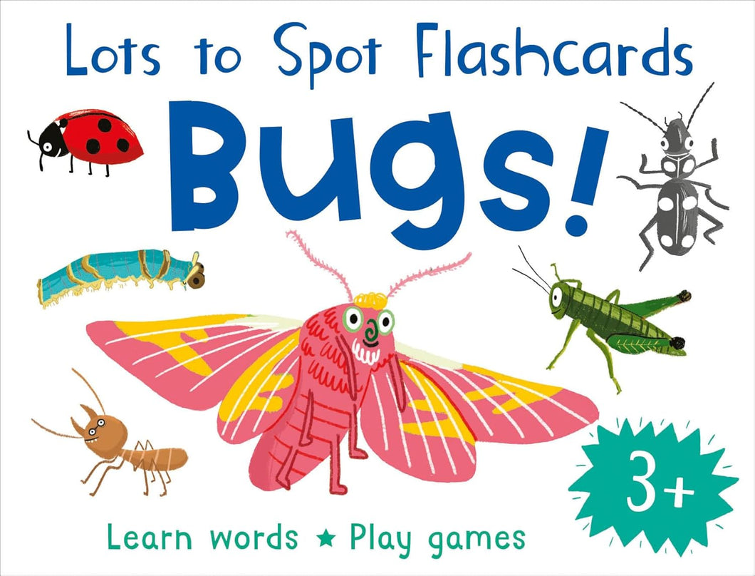Lots to Spot Flashcards: Bugs!