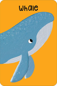 Sea Snap!